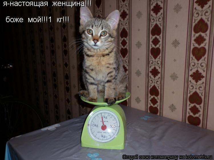 я-настоящая женщина!!! боже мой!!!1 кг!!!... Котоматрица: я-настоящая женщина!!! боже мой!!!1 кг!!!