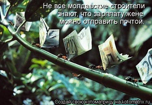 Не все молдавские строители знают, что зарплату жене можно отправить почтой.... Котоматрица: Не все молдавские строители знают, что зарплату жене можно отправить почтой.