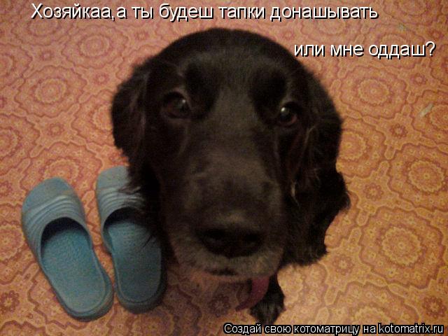 Хозяйкаа,а ты будеш тапки донашывать или мне оддаш?... Котоматрица: Хозяйкаа,а ты будеш тапки донашывать или мне оддаш?