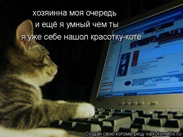Котоматрица: хозяинна моя очередь и ещё я умный чем ты  я уже себе нашол красотку-коте