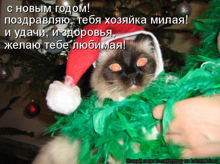 Котоматрица: с новым годом!  поздравляю, тебя хозяйка милая! и удачи, и здоровья, желаю тебе любимая!
