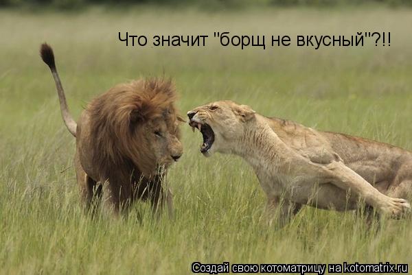 Котоматрица: Что значит "борщ не вкусный"?!!