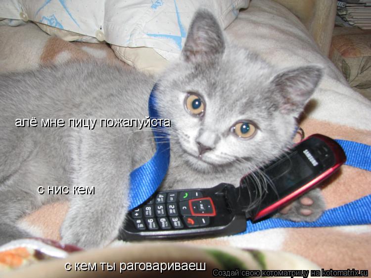 Котоматрица: алё мне пицу пожалуйста с кем ты раговариваеш с нис кем