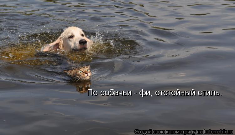 Котоматрица: По-собачьи - фи, отстойный стиль.