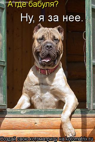 Котоматрица: А где бабуля? Ну, я за нее.