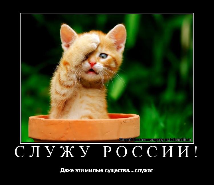 Котоматрица: Служу России! Даже эти милые существа....служат