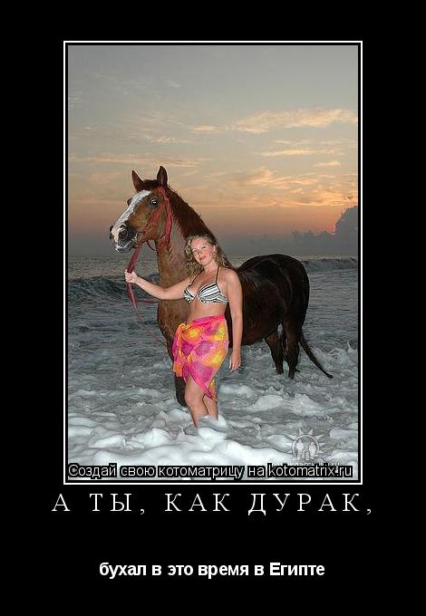 а ты, как дурак, бухал в это время в Египте... Котоматрица: а ты, как дурак, бухал в это время в Египте