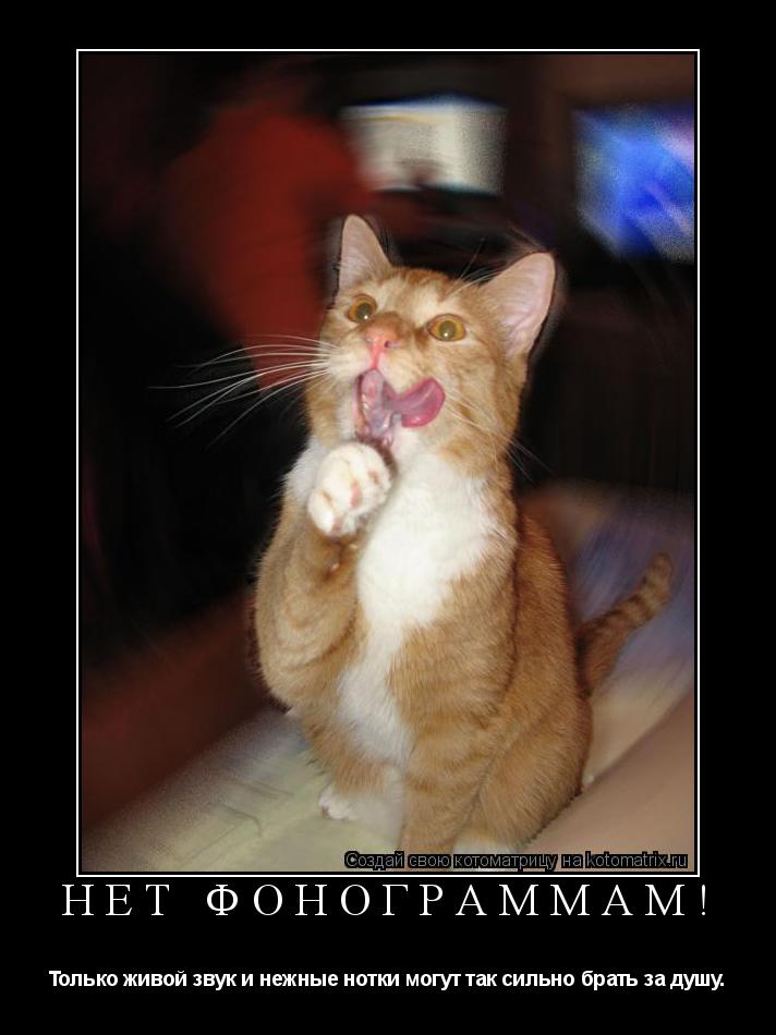Нет фонограммам! Только живой звук и нежные нотки могут так сильно брать за душу.... Котоматрица: Нет фонограммам! Только живой звук и нежные нотки могут так сильно брать за душу.