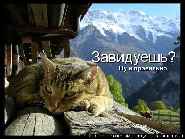 Котоматрица: Завидуешь? Ну и правильно...