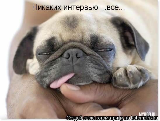 Котоматрица: Никаких интервью ...всё...