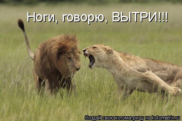 Котоматрица: Ноги, говорю, ВЫТРИ!!!