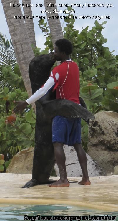 Котоматрица: Перед тем, как найти свою Елену Прекрасную,  тебе, Иванушка,  придется перецеловать еще много лягушек.