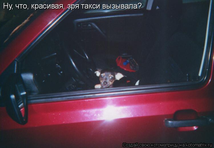 Котоматрица: Ну, что, красивая, зря такси вызывала?