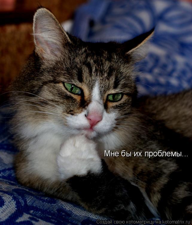 Котоматрица: Мне бы их проблемы...