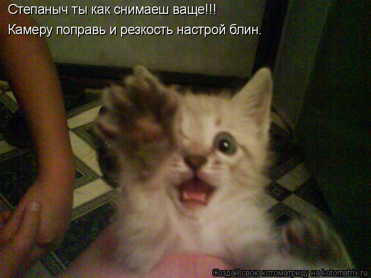 Котоматрица: Степаныч ты как снимаеш ваще!!! Камеру поправь и резкость настрой блин.