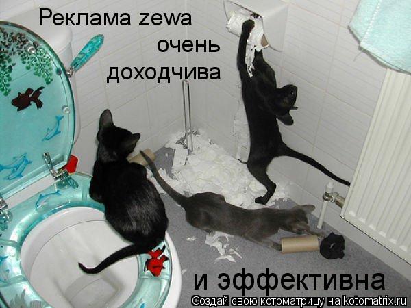 Котоматрица: Реклама zewa   очень доходчива и эффективна