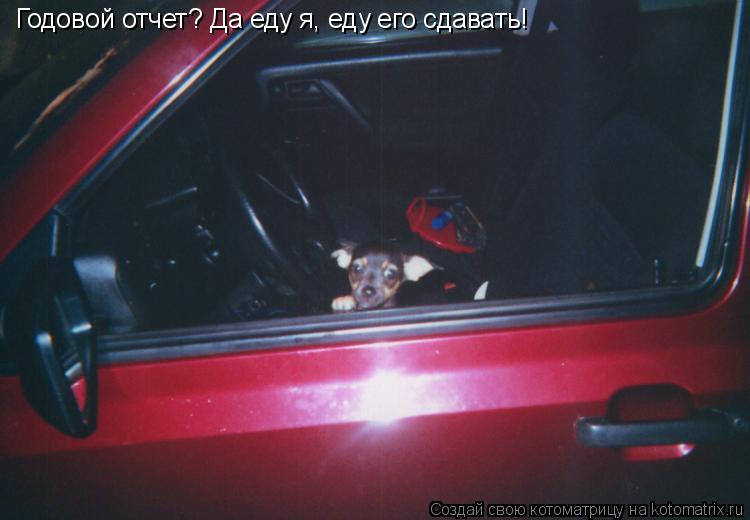 Котоматрица: Годовой отчет? Да еду я, еду его сдавать!