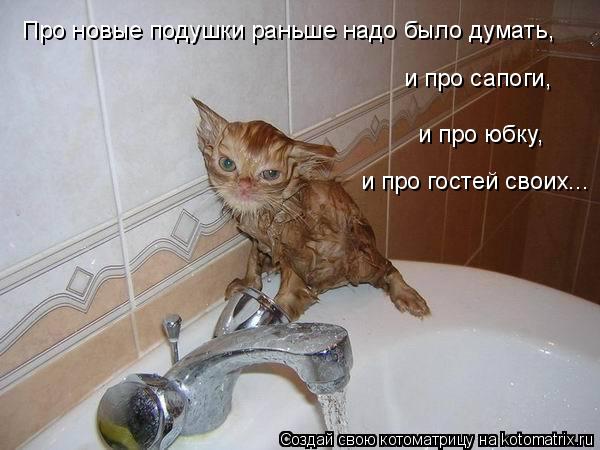 Котоматрица: Про новые подушки раньше надо было думать, и про сапоги, и про юбку, и про гостей своих...