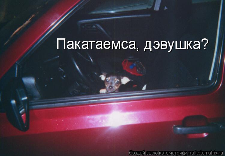 Котоматрица: Пакатаемса, дэвушка?