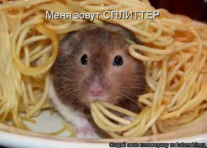 Котоматрица: Меня зовут СПЛИТТЕР