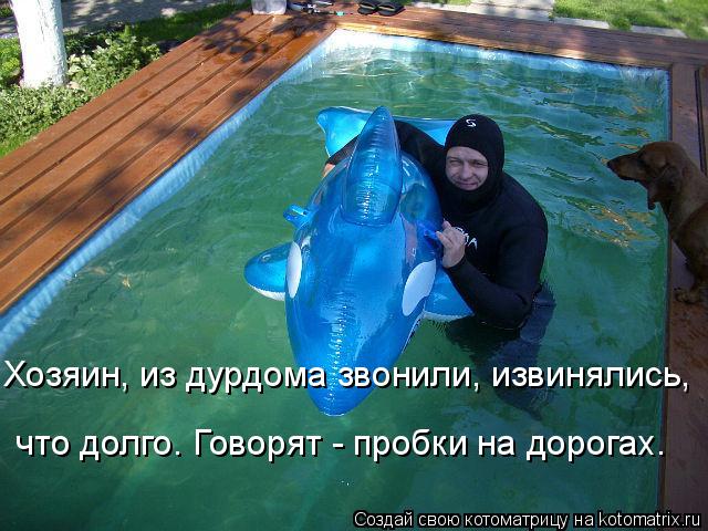 Котоматрица: Хозяин, из дурдома звонили, извинялись,  что долго. Говорят - пробки на дорогах.