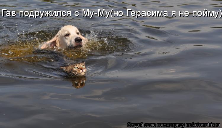 Котоматрица: Гав подружился с Му-Му(но Герасима я не пойму)...