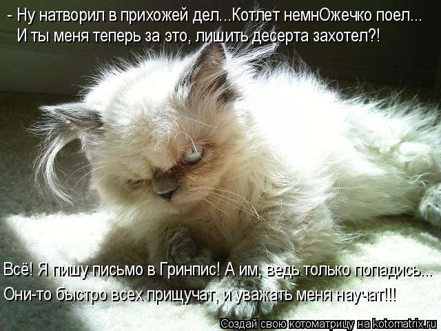 Котоматрица: - Ну натворил в прихожей дел...Котлет немнОжечко поел... Всё! Я пишу письмо в Гринпис! А им, ведь только попадись... И ты меня теперь за это, лишит