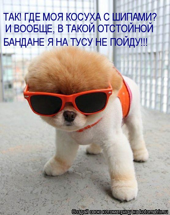 Котоматрица: ТАК! ГДЕ МОЯ КОСУХА С ШИПАМИ? И ВООБЩЕ, В ТАКОЙ ОТСТОЙНОЙ БАНДАНЕ Я НА ТУСУ НЕ ПОЙДУ!!!