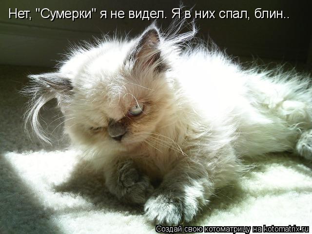 Нет, "Сумерки" я не видел. Я в них спал, блин..... Котоматрица: Нет, "Сумерки" я не видел. Я в них спал, блин..