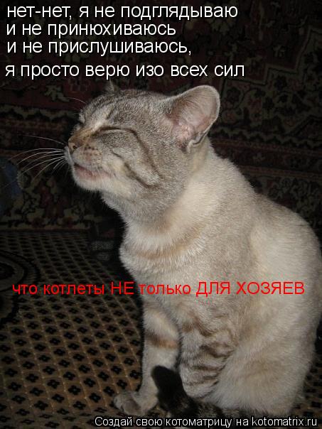 нет-нет, я не подглядываю и не принюхиваюсь и не прислушиваюсь, я просто верю изо всех сил что котлет... Котоматрица: нет-нет, я не подглядываю и не принюхиваюсь и не прислушиваюсь, я просто верю изо всех сил что котлеты НЕ только ДЛЯ ХОЗЯЕВ