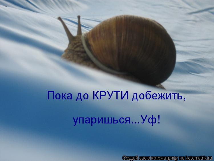 Пока до КРУТИ добежить, упаришься...Уф!... Котоматрица: Пока до КРУТИ добежить, упаришься...Уф!