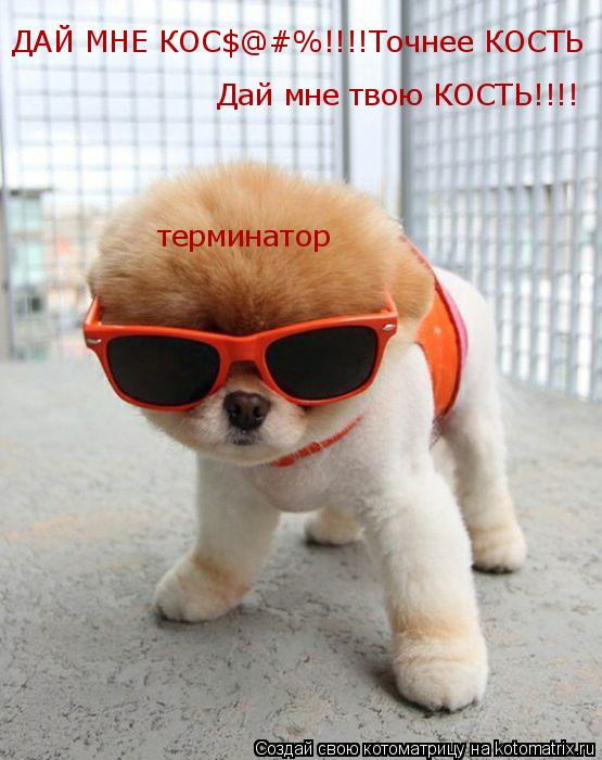 терминатор Дай мне твою КОСТЬ!!!! ДАЙ МНЕ КОС$@#%!!!!Точнее КОСТЬ... Котоматрица: терминатор Дай мне твою КОСТЬ!!!! ДАЙ МНЕ КОС$@#%!!!!Точнее КОСТЬ