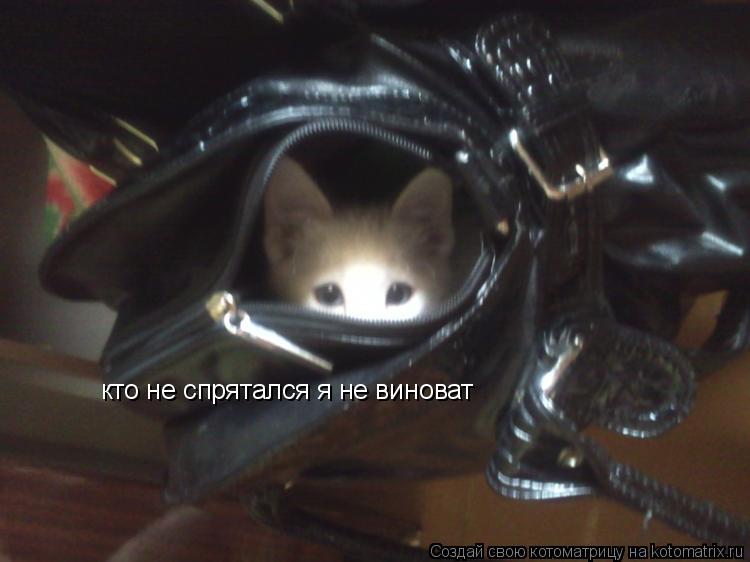 кто не спрятался я не виноват... Котоматрица: кто не спрятался я не виноват