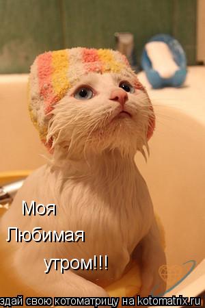 Моя Любимая утром!!!... Котоматрица: Моя Любимая утром!!!