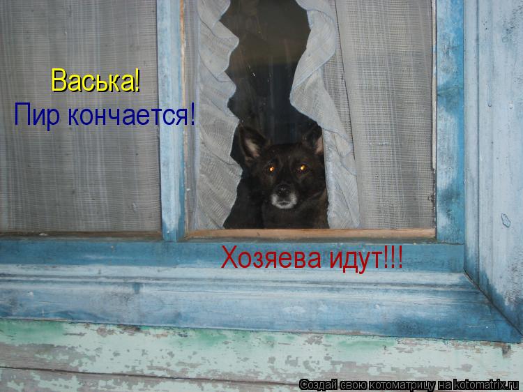 Васька! Пир кончается! Хозяева идут!!!... Котоматрица: Васька! Пир кончается! Хозяева идут!!!