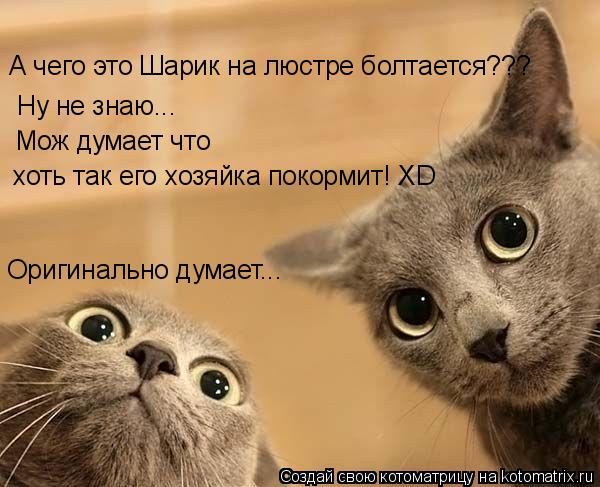 А чего это Шарик на люстре болтается??? Ну не знаю... Мож думает что хоть так его хозяйка покормит! ... Котоматрица: А чего это Шарик на люстре болтается??? Ну не знаю... Мож думает что хоть так его хозяйка покормит! XD Оригинально думает...