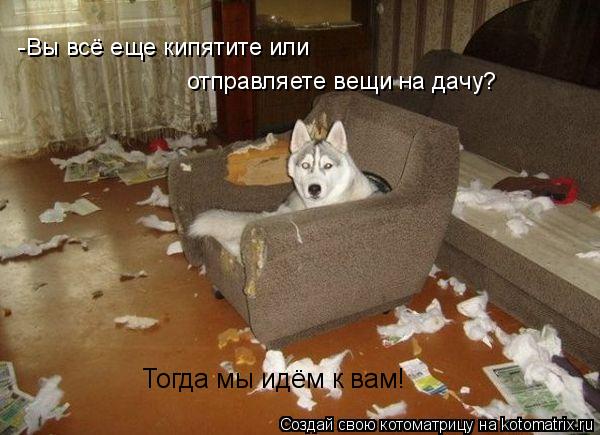 -Вы всё еще кипятите или отправляете вещи на дачу? Тогда мы идём к вам!... Котоматрица: -Вы всё еще кипятите или отправляете вещи на дачу? Тогда мы идём к вам!