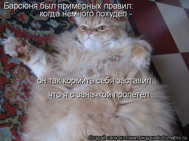 Барсюня был примерных правил: когда немного похудел - он так кормить себя заставил, что я с заначко... Котоматрица: Барсюня был примерных правил: когда немного похудел - он так кормить себя заставил, что я с заначкой пролетел...