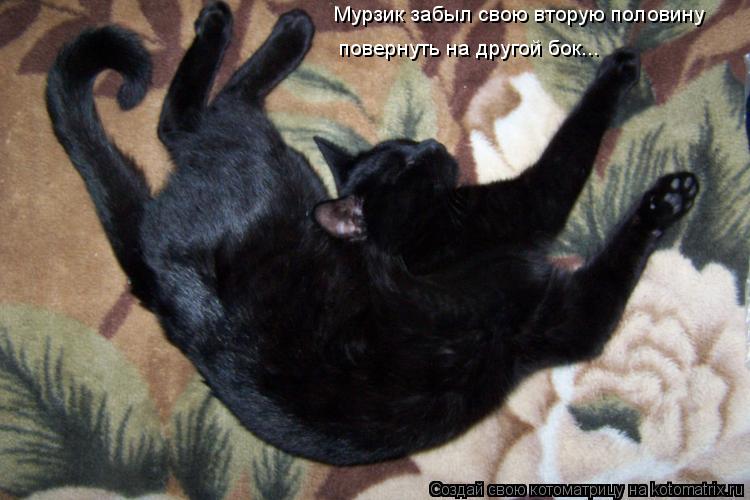 Мурзик забыл свою вторую половину повернуть на другой бок...... Котоматрица: Мурзик забыл свою вторую половину повернуть на другой бок...