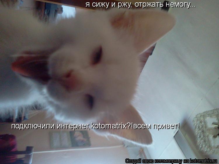 я сижу и ржу, отржать немогу... подключили интернет,kotomatrix?!всем привет!... Котоматрица: я сижу и ржу, отржать немогу... подключили интернет,kotomatrix?!всем привет!