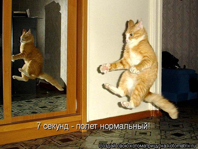 7 секунд - полет нормальный!... Котоматрица: 7 секунд - полет нормальный!