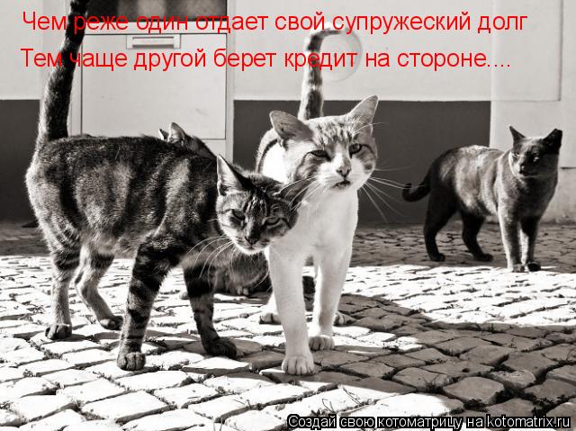 Котоматрица: Чем реже один отдает свой супружеский долг Тем чаще другой берет кредит на стороне....