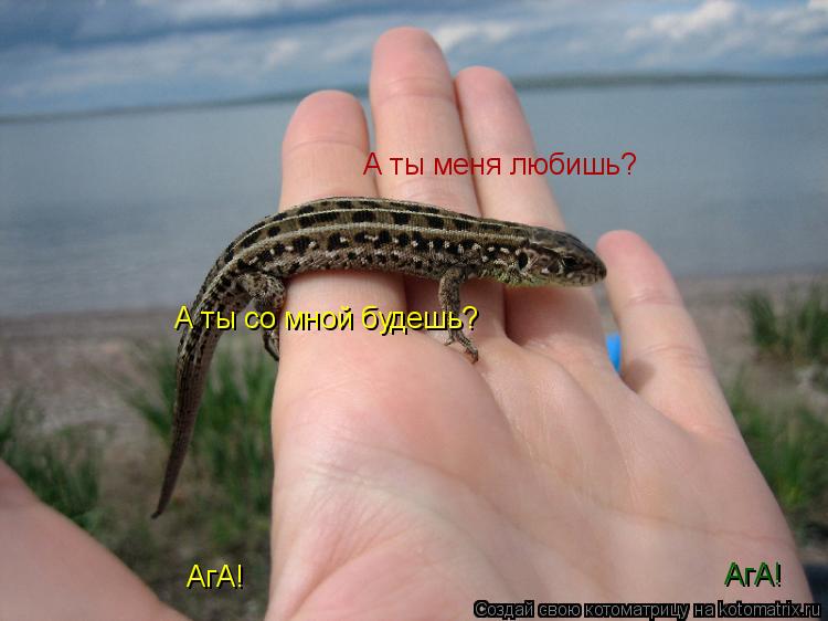 А ты меня любишь? АгА! А ты со мной будешь? АгА!... Котоматрица: А ты меня любишь? АгА! А ты со мной будешь? АгА!
