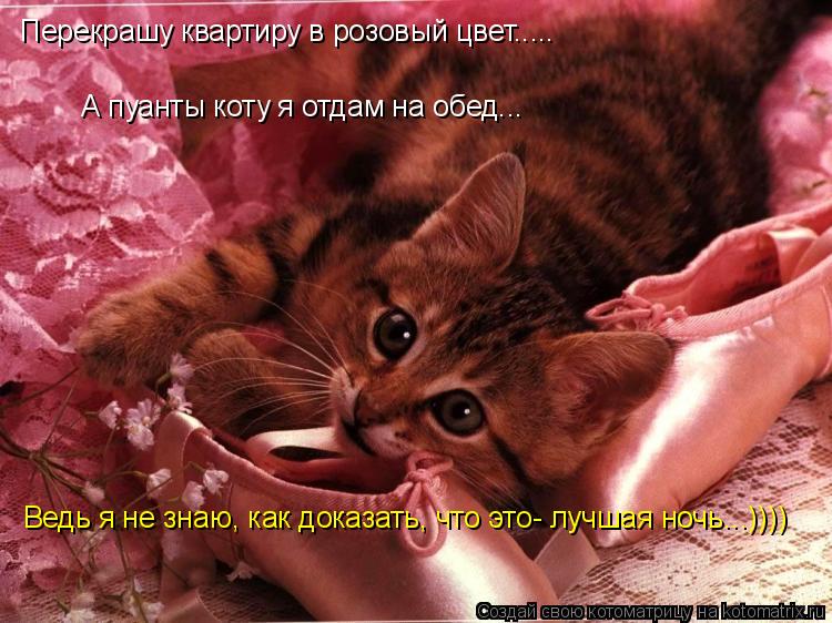 Перекрашу квартиру в розовый цвет..... А пуанты коту я отдам на обед... Ведь я не знаю, как доказать,... Котоматрица: Перекрашу квартиру в розовый цвет..... А пуанты коту я отдам на обед... Ведь я не знаю, как доказать, что это- лучшая ночь...))))