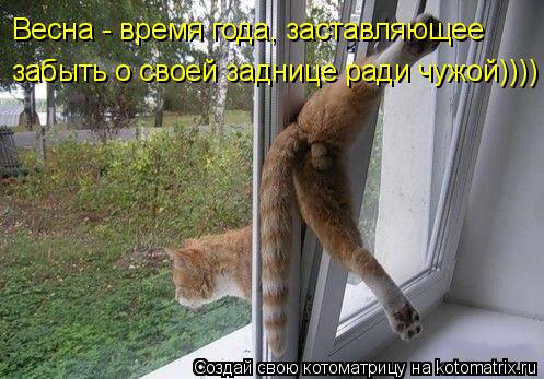 Весна - время года, заставляющее забыть о своей заднице ради чужой))))... Котоматрица: Весна - время года, заставляющее забыть о своей заднице ради чужой))))