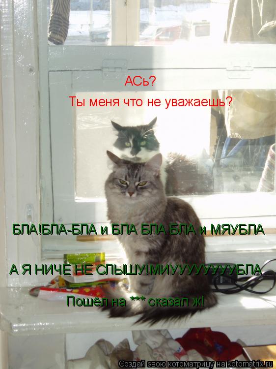 БЛА!БЛА-БЛА и БЛА БЛА БЛА и МЯУБЛА Ты меня что не уважаешь? А Я НИЧЕ НЕ СЛЫШУ!МИУУУУУУУУБЛА АСь? Пошё... Котоматрица: БЛА!БЛА-БЛА и БЛА БЛА БЛА и МЯУБЛА Ты меня что не уважаешь? А Я НИЧЕ НЕ СЛЫШУ!МИУУУУУУУУБЛА АСь? Пошёл на *** сказал ж!