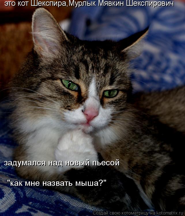 это кот Шекспира,Мурлык Мявкин Шекспирович задумался над новый пьесой "как мне назвать мыша?"... Котоматрица: это кот Шекспира,Мурлык Мявкин Шекспирович задумался над новый пьесой "как мне назвать мыша?"