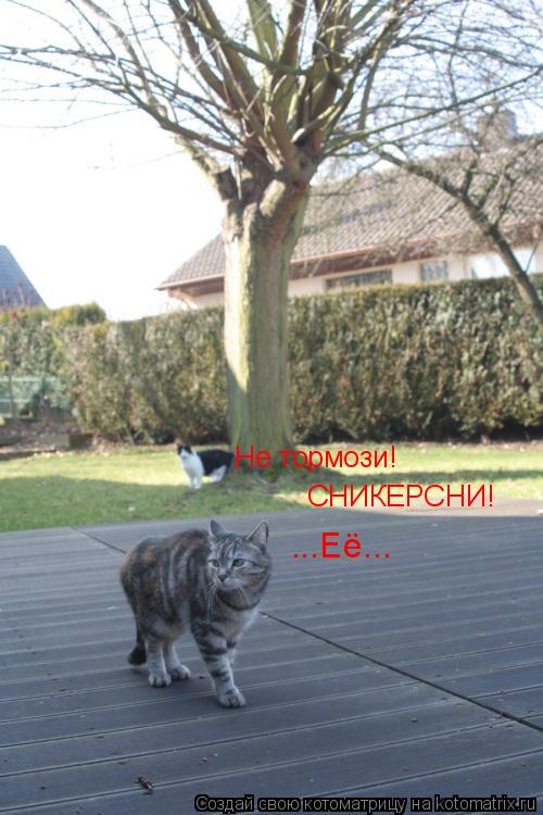 Не тормози! СНИКЕРСНИ! ...Её...... Котоматрица: Не тормози! СНИКЕРСНИ! ...Её...