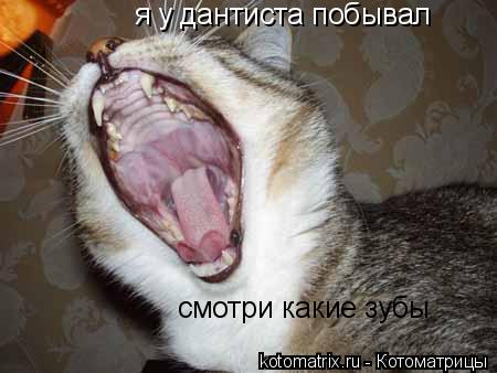 я у дантиста побывал смотри какие зубы... Котоматрица: я у дантиста побывал смотри какие зубы