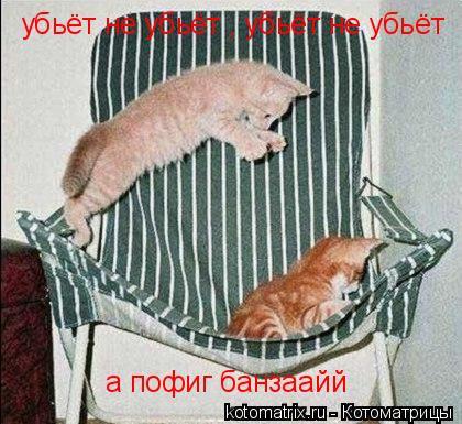 убьёт не убьёт , убьёт не убьёт а пофиг банзаайй... Котоматрица: убьёт не убьёт , убьёт не убьёт а пофиг банзаайй